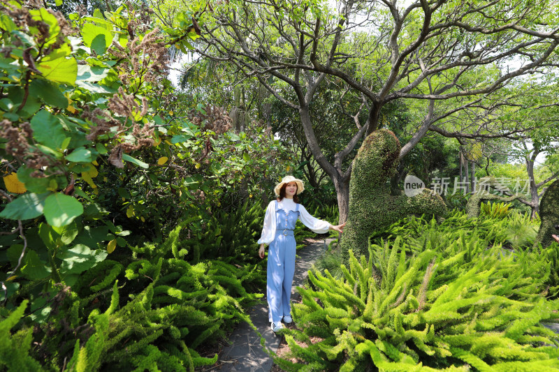 站在澳大利亚墨尔本皇家植物园公园里的女人