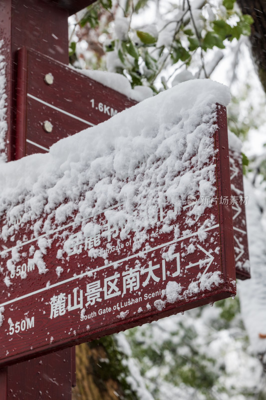 湖南大学雪景