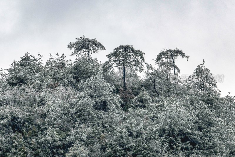 重庆酉阳：冻雨.冰雪.雾