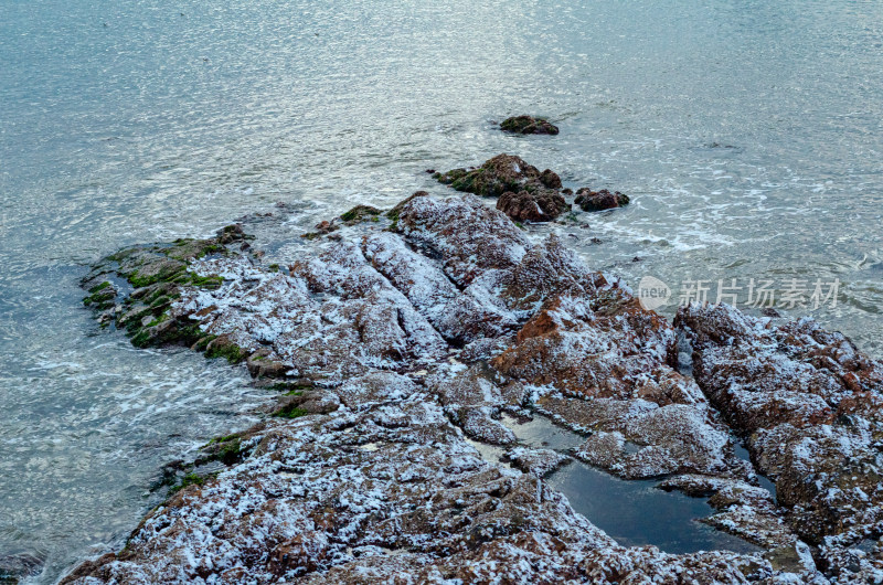 青岛栈桥海边雪后的礁石