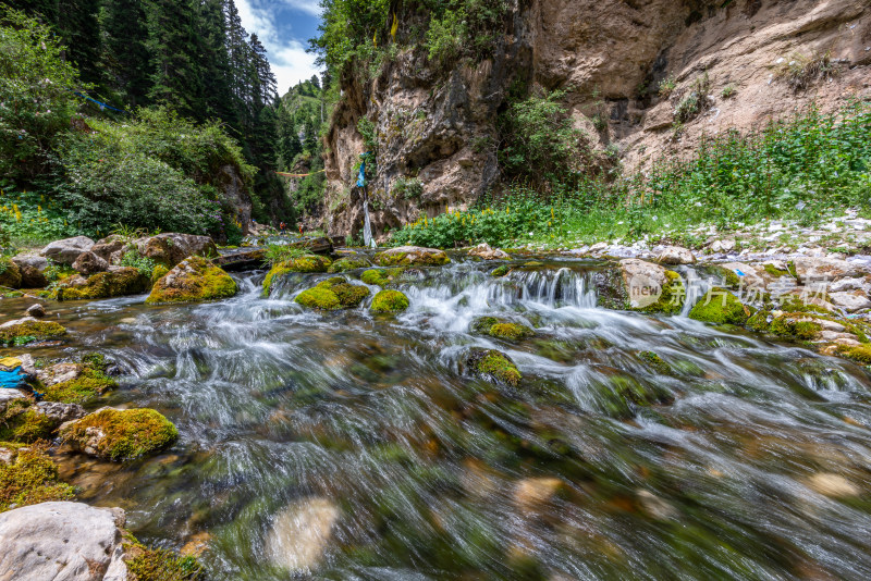 小溪水流