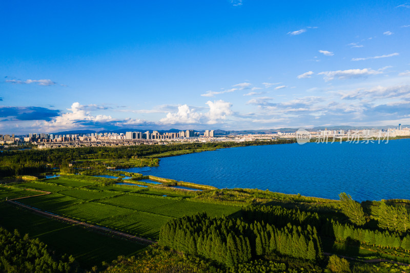 蓝天白云下的城市湖景