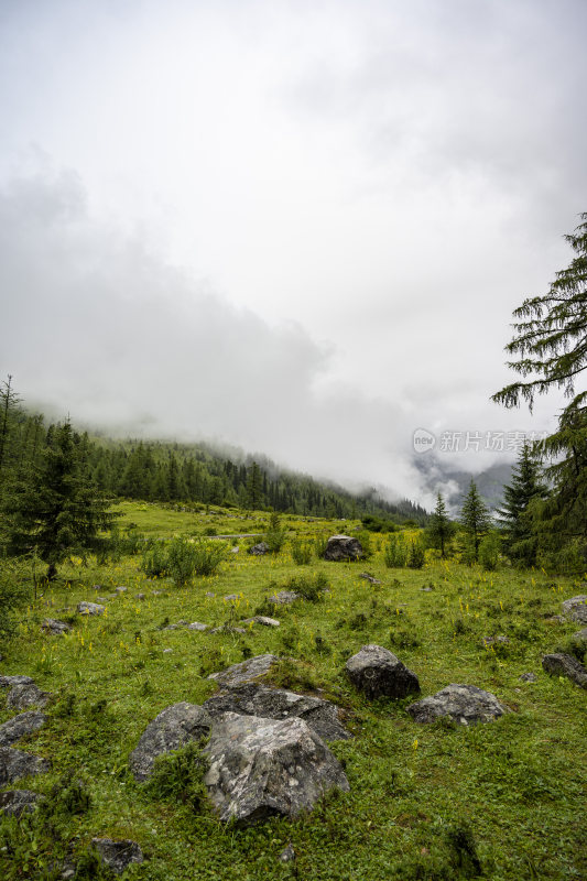 四川四姑娘山双桥沟自然风景