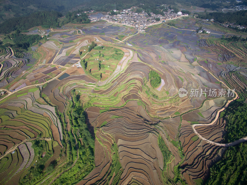 航拍壮观的乡村梯田景观