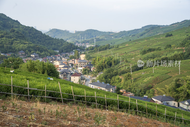 浙江杭州大朗山自然风光，在夕阳下的村庄