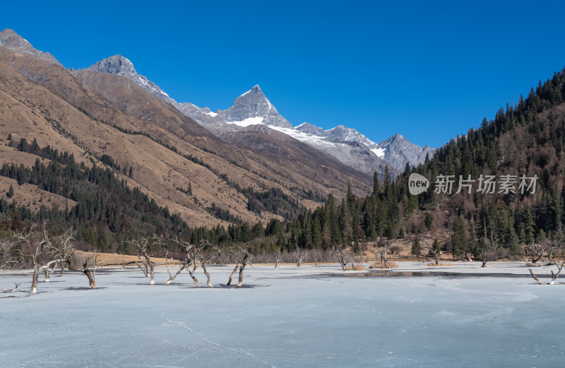 冬天的四姑娘山双桥沟风景