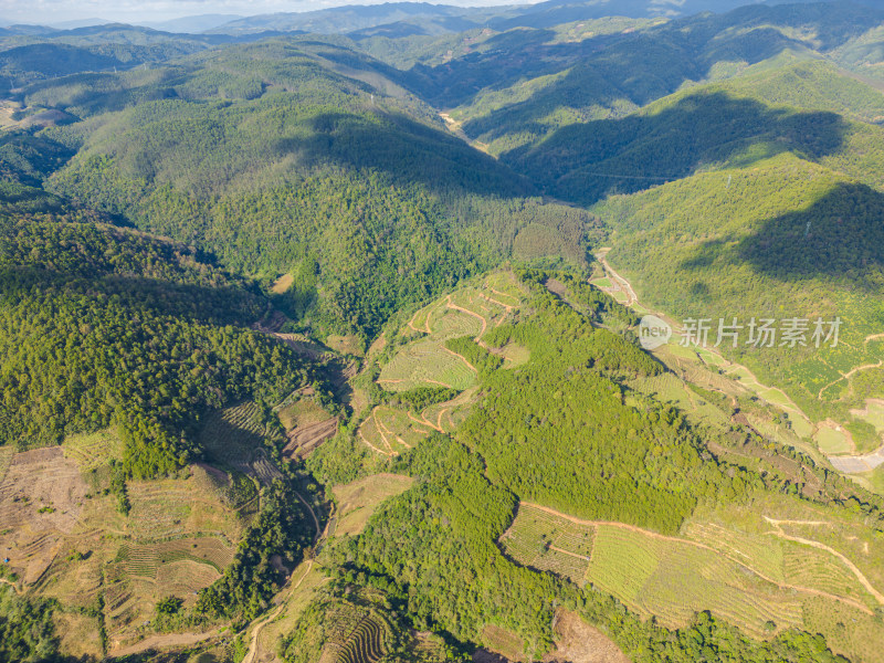 航拍绿意盎然的山脉和层层梯田