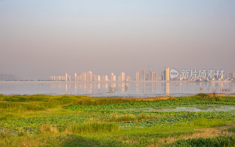 山东济宁邹城孟子湖湿地湖泊