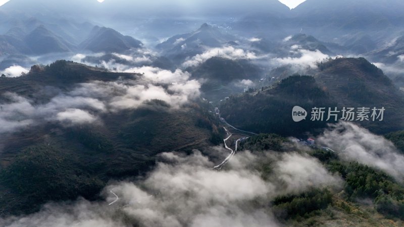 重庆酉阳：雾中枫叶红似火