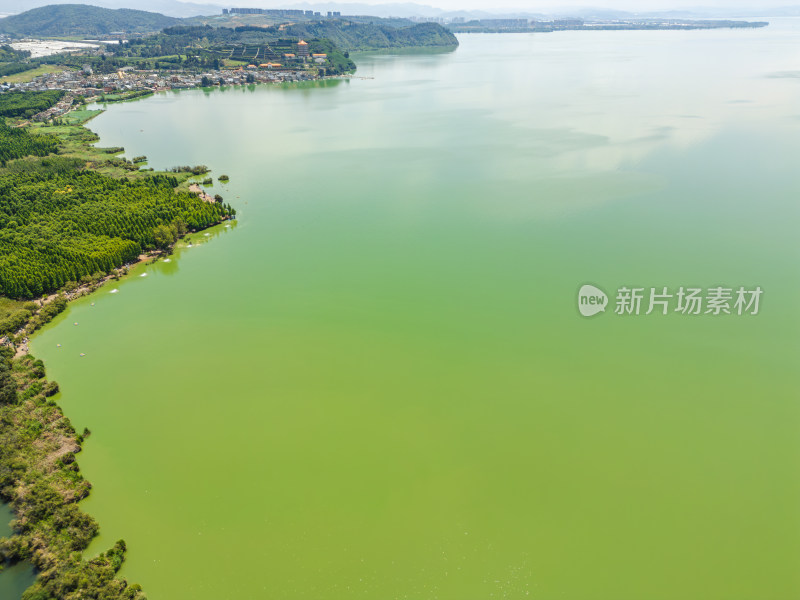 航拍昆明滇池捞鱼河湿地公园景观