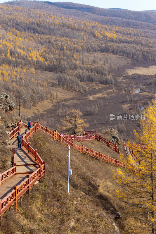 赤峰山林