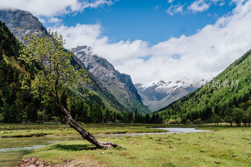 阿坝州四姑娘山长坪沟