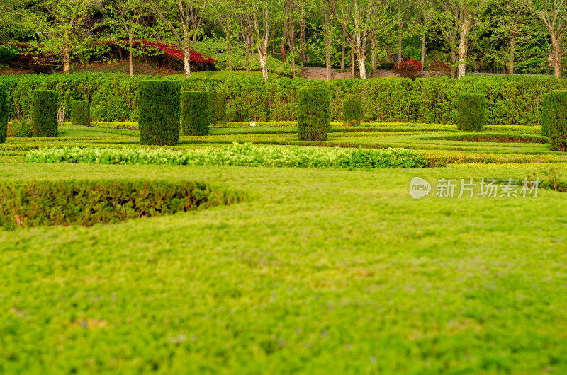 青岛中山公园的夏季