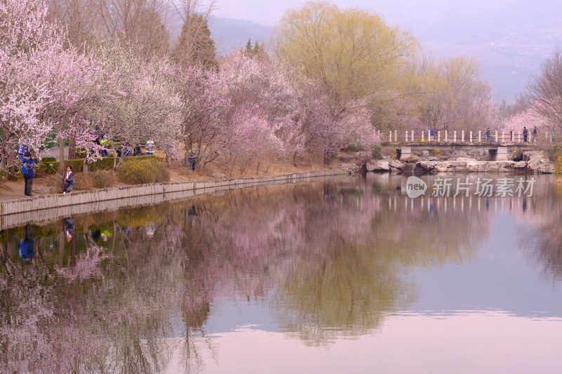 风景系列