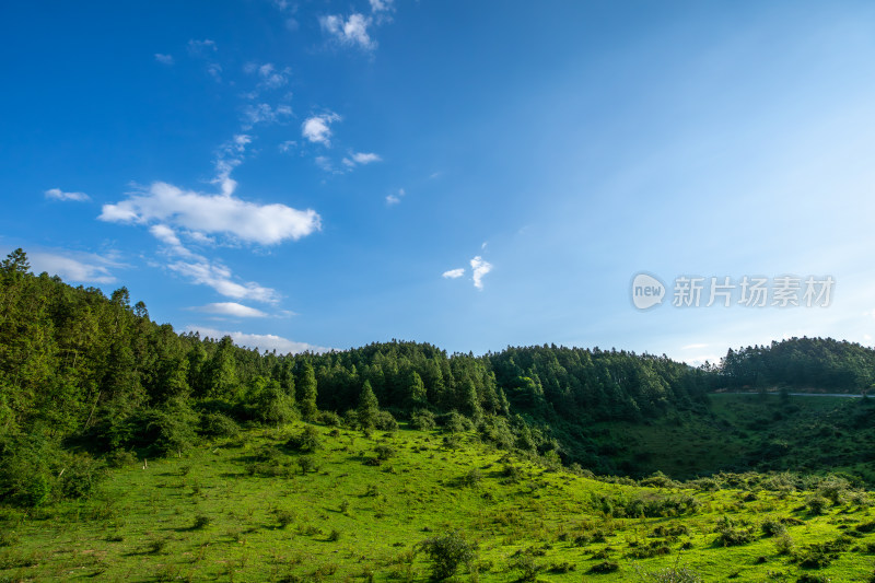 重庆市武隆区仙女山国家森林公园