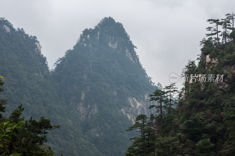 云海中的大明山