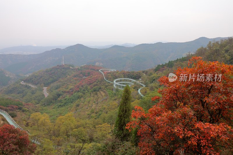 红叶柿岩景区风光