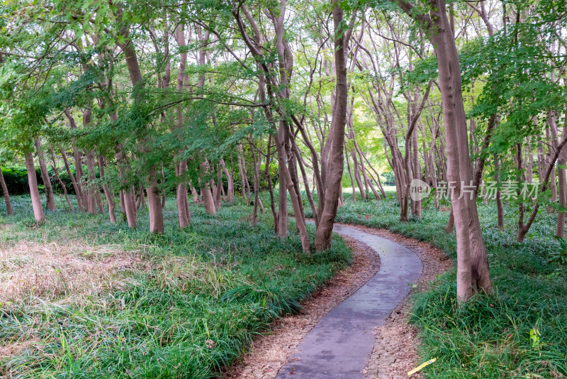 江苏镇江市焦山风景区风光