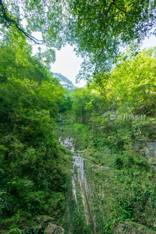 重庆黑山谷的瀑布水流景观