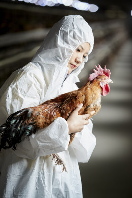 身穿防护服怀抱家禽的年轻女性饲养员