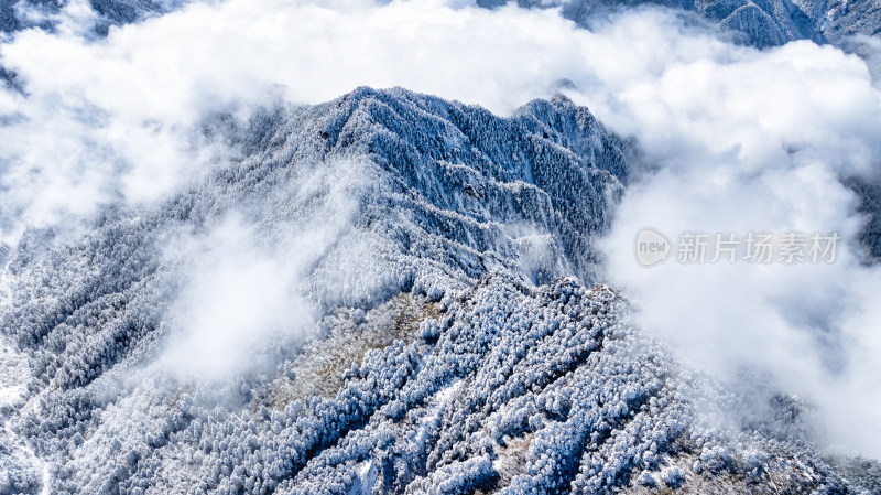 四川成都西岭雪山上空的云海群山航拍