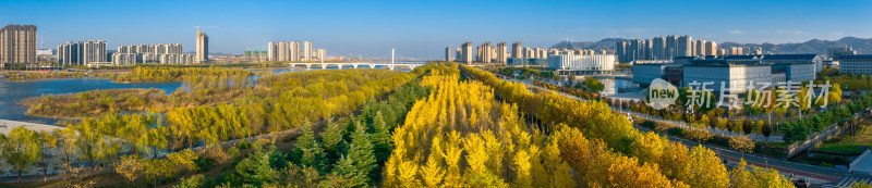 自然风景城市背景金色秋天河流建筑楼房