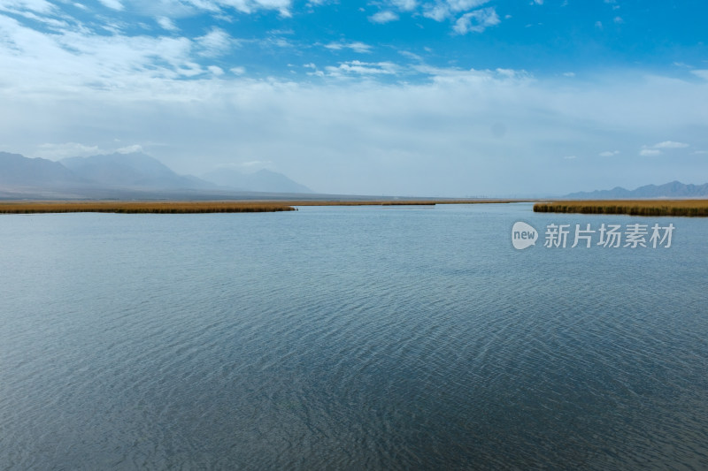 青海大柴旦翡翠湖湿地风光