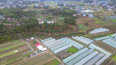 乡村田野农业种植大棚蔬菜航拍