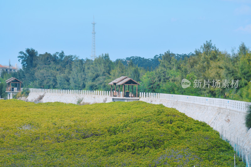 湄洲岛海边