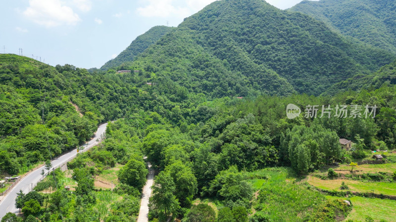 航拍丘陵大山森林风光