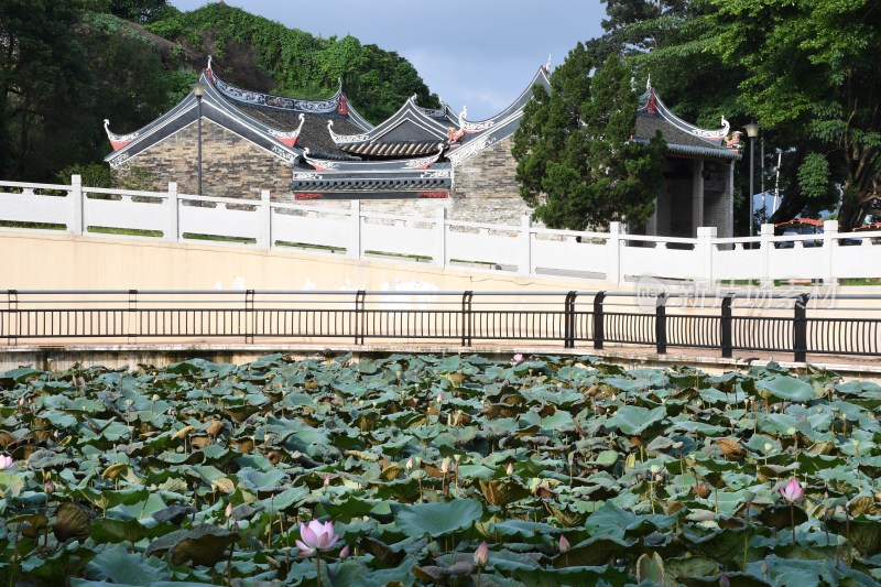 广东东莞：荷花池与清境宫交相辉映