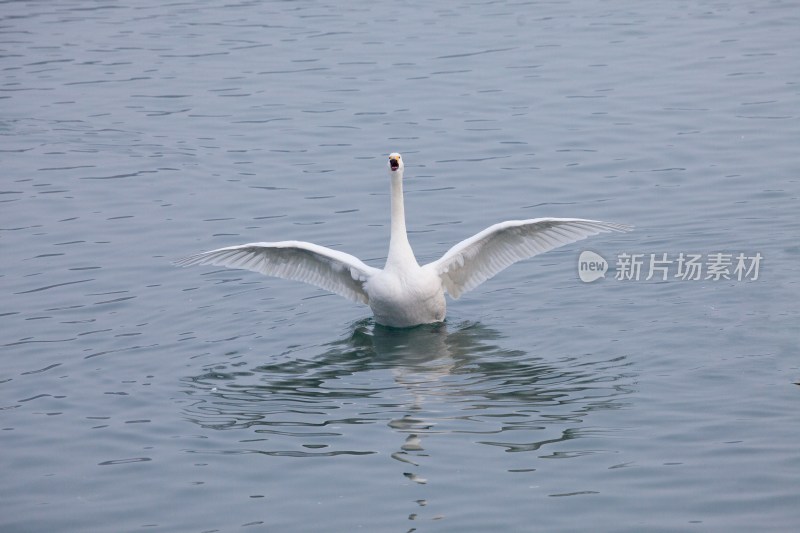 山东 烟台 烟墩角