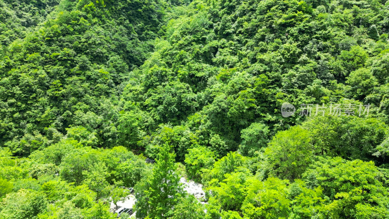 航拍湖北神农架官门山景区