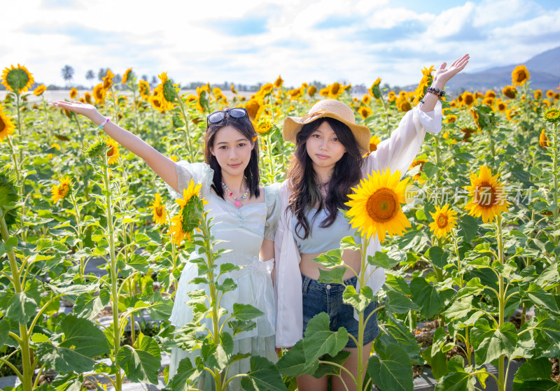 海南三亚向日葵花田里拍照的美女