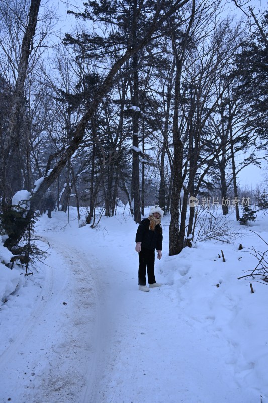 雪地树林中身着冬装的人