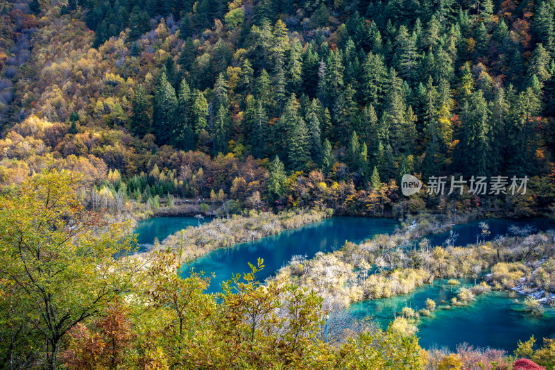 九寨沟秋色，树正群海湖光山色五彩斑斓