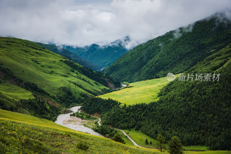 青翠山峦下的广阔草原