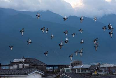 云南大理苍山