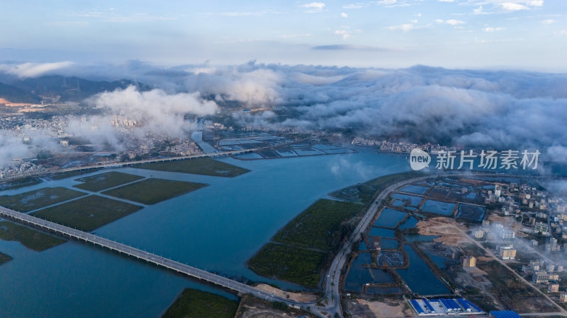 惠州盐洲海洋湿地公园-红树林湿地风光