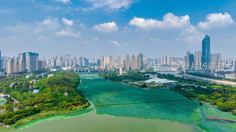 湖北武汉月湖风景区附近航拍