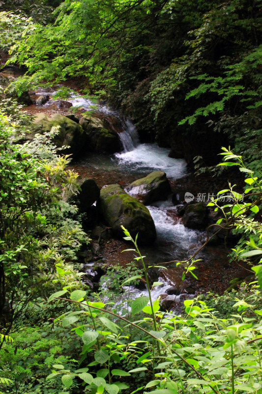 西岭雪山大飞水