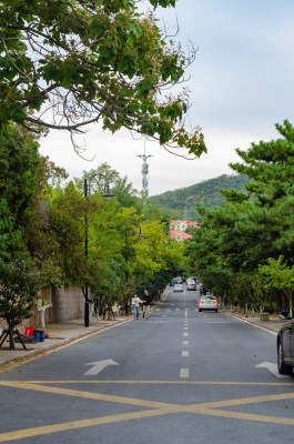 青岛八大关景区的道路