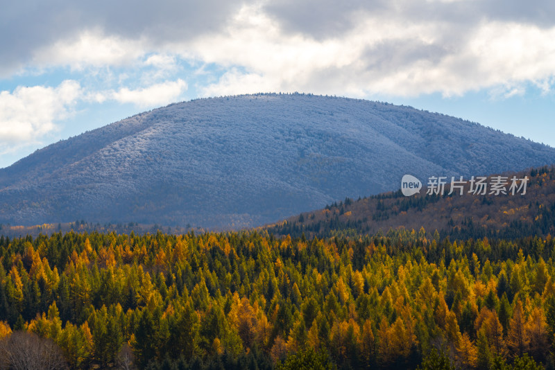 内蒙古山林秋景山峰下多彩森林的景致