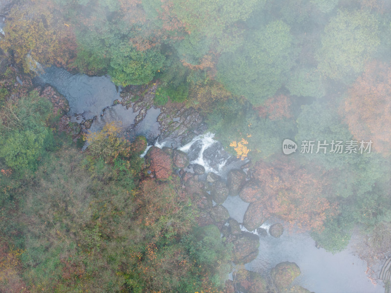 航拍四川雅安龙苍沟山林溪流秋景