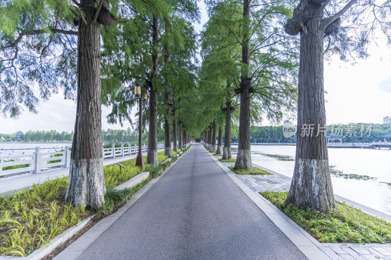 武汉东湖风景区景点风光