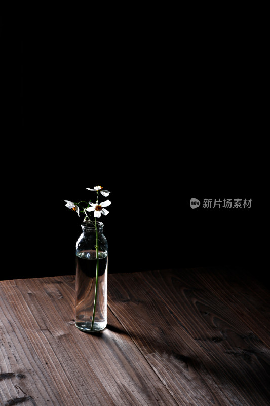 阳光下玻璃瓶里的插花白色雏菊和光影