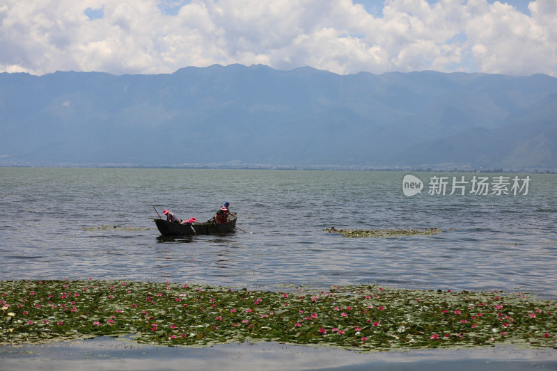 中国云南大理洱海里的睡莲与船