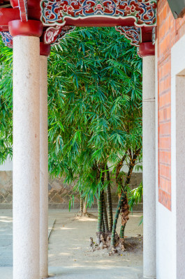 福建泉州承天寺大殿走廊