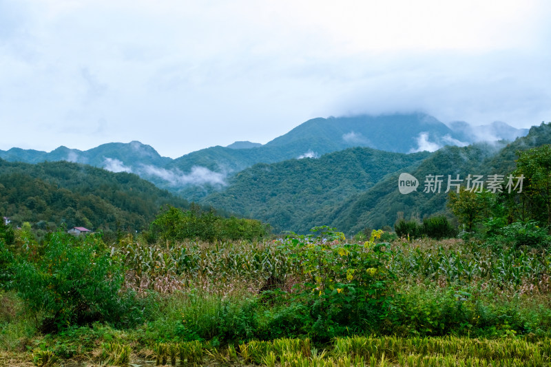 汉中留坝火烧店镇秦岭深处的山村田园风光