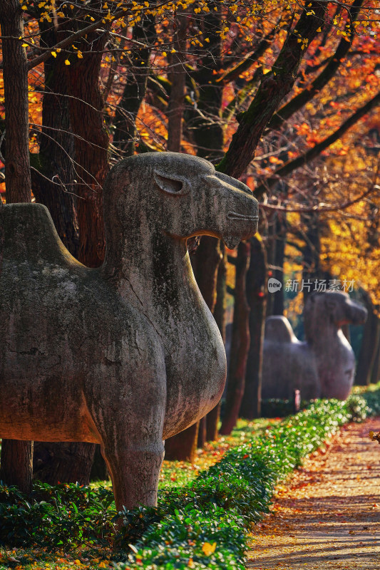 南京钟山石像路